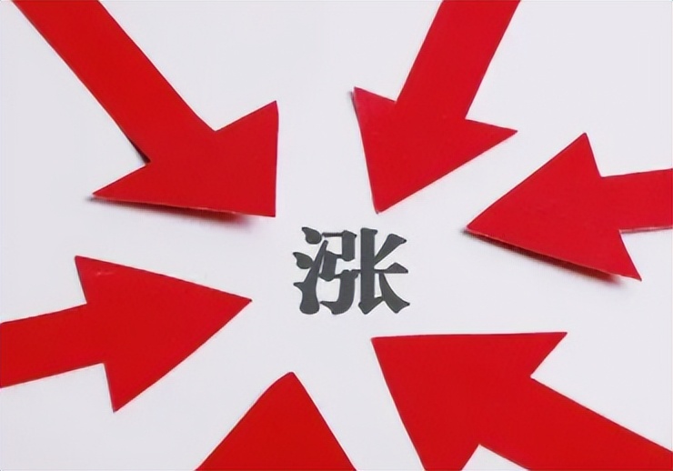 新一轮涨价潮来了除汽油之外蔬菜肉粮食价格上涨