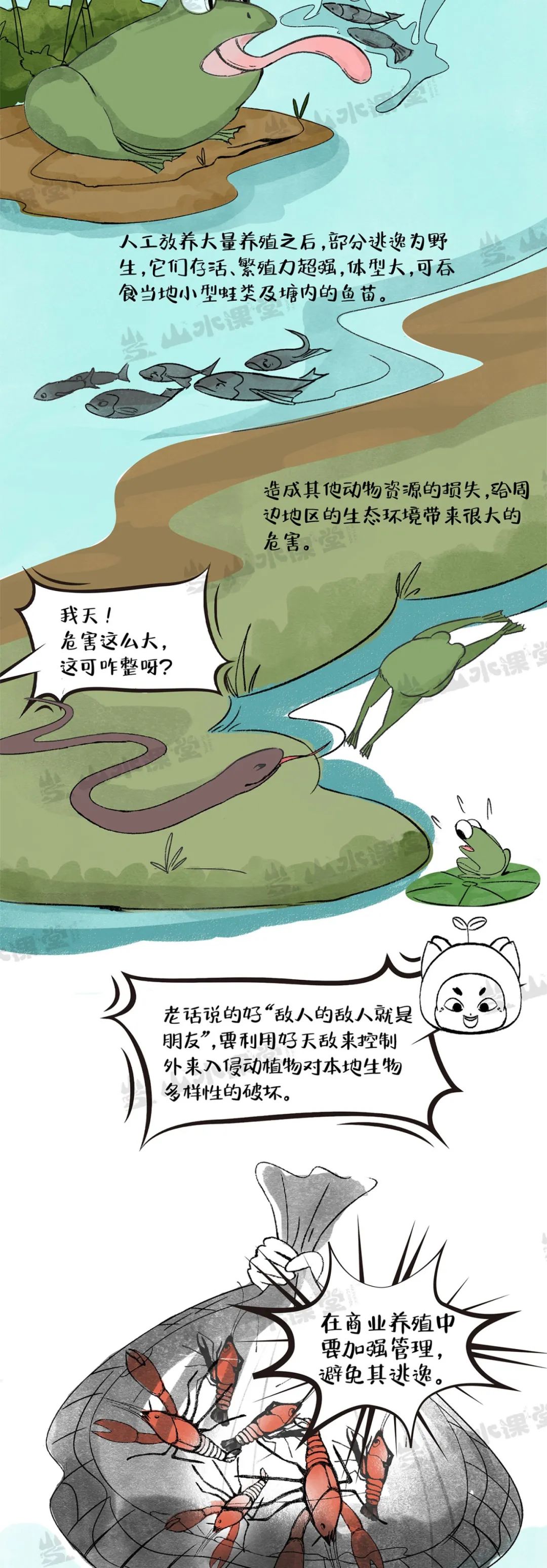 图解漫画 | 长江流域小龙虾的“利”与“害”，一吃可解否？
