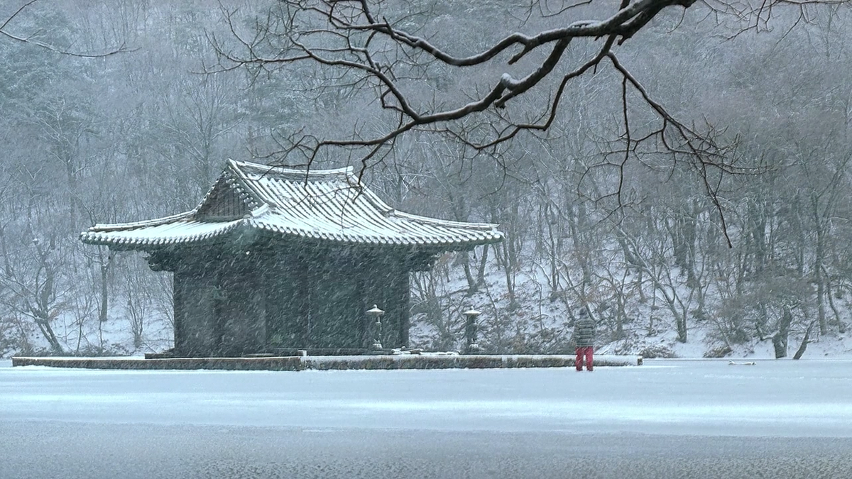 《春夏秋冬又一春》是最美的电影之一，是灵魂的救赎
