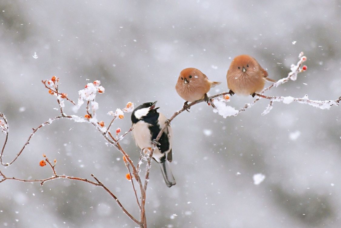 一到冬天，双脚就异常寒冷？提示：这种现象或与3个因素有关
