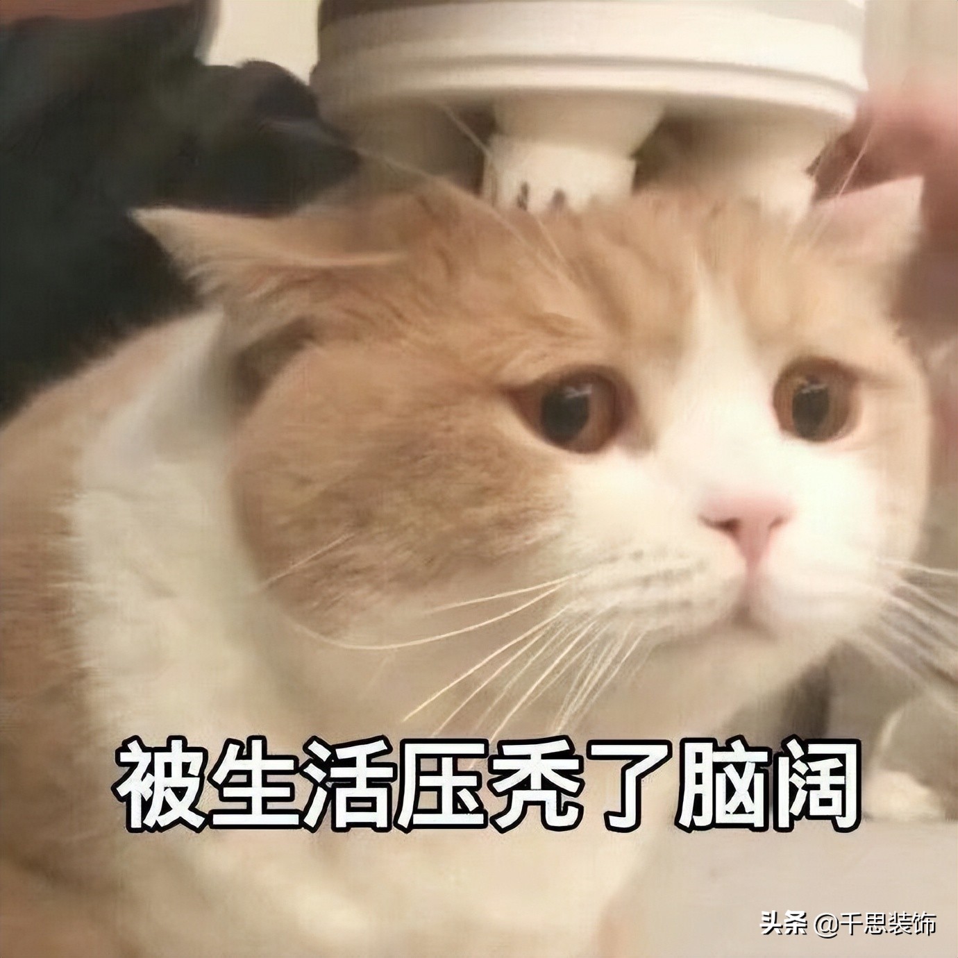 小户型装修攻略：巧布局显 spacious，实用与美观兼得