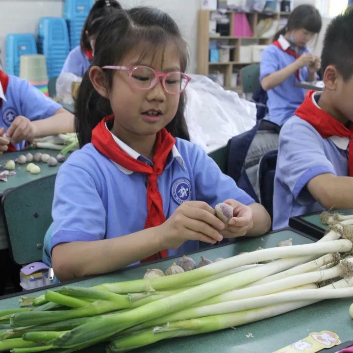 发扬劳动精神 争做先锋少年｜记川大西航港实小劳动技能大赛活动