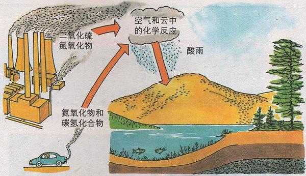 恐龙灭绝的原因有哪些(恐龙是如何灭绝的？小行星撞击只是导火索，真实的原因可能有几个)