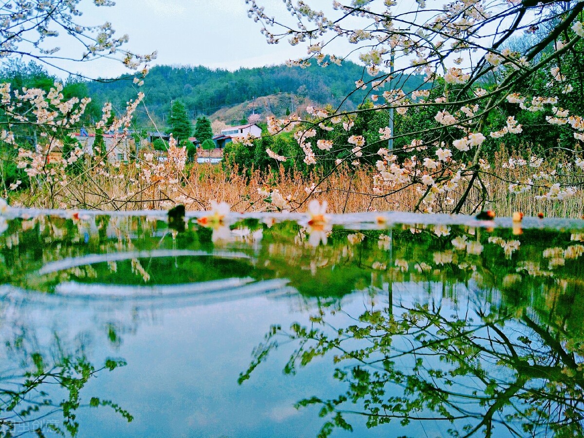 当唐诗宋词遇上春日美景，一起感受春天里的诗意美景