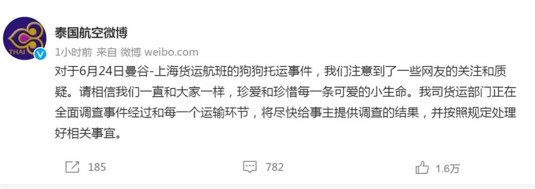 又一起!爱犬托运后死亡,知名女星愤怒发声!航空公司回应