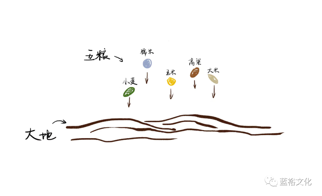 投资200亿，五粮液白酒酒庄腾飞双龙湖