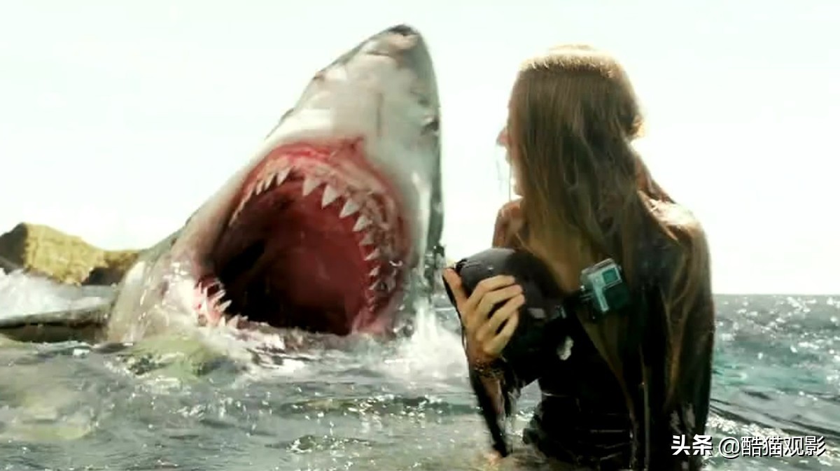 十部鲨鱼题材电影，都是爽片，不容错过