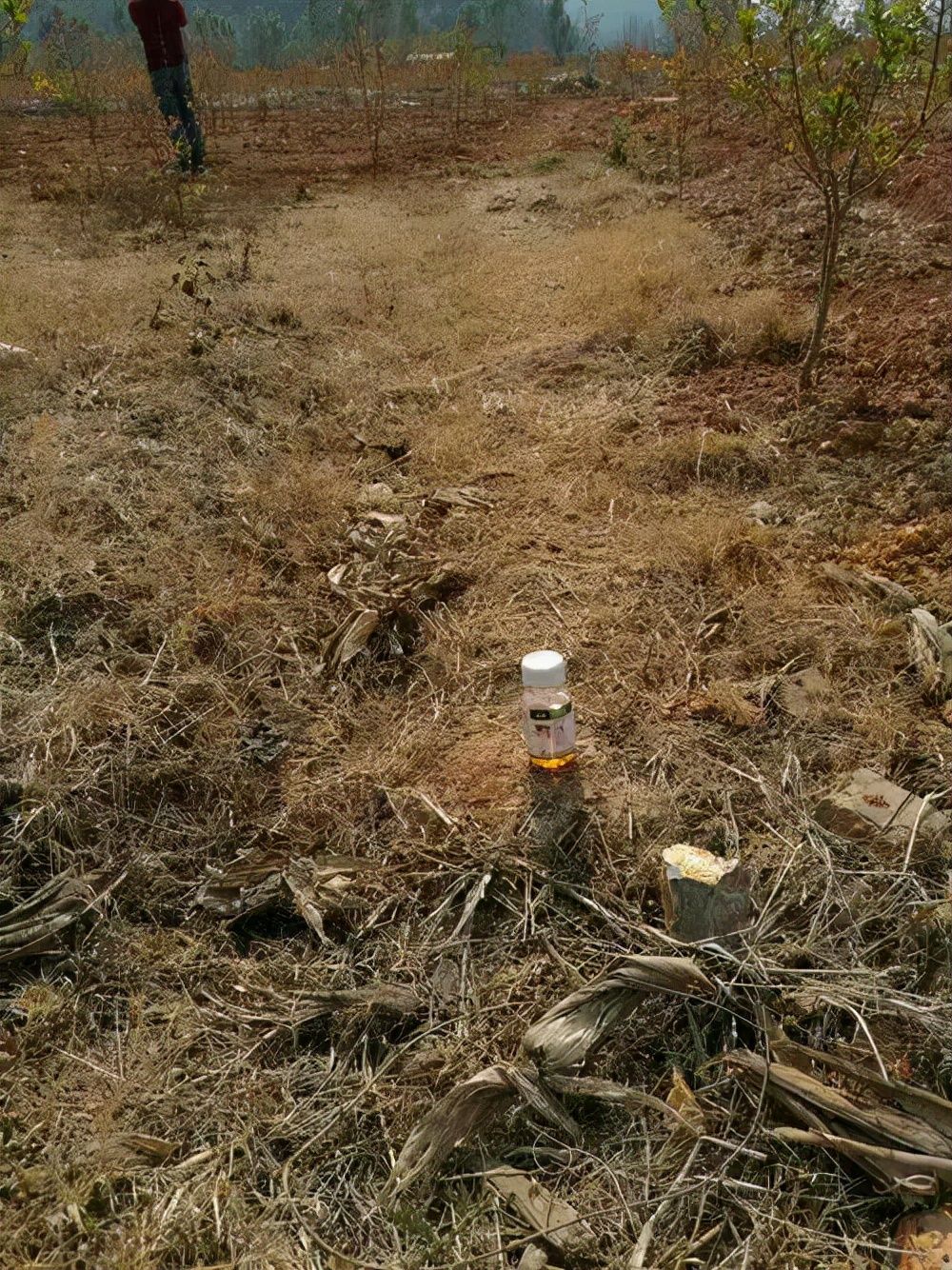 姐夫诱骗18岁女孩喝百草枯！无冤无仇，看似意外实则早有预谋