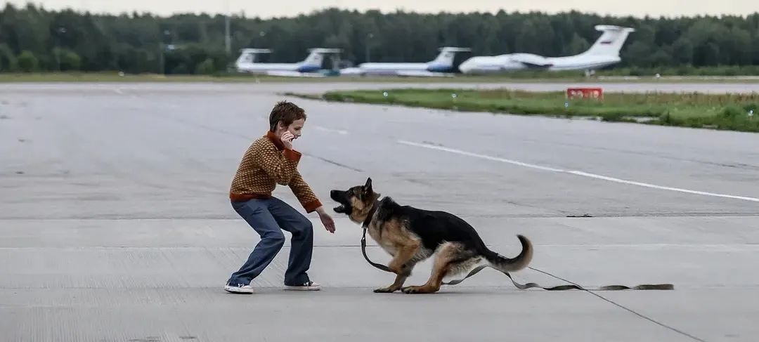 破防了，俄罗斯版“忠犬”到底有多感人