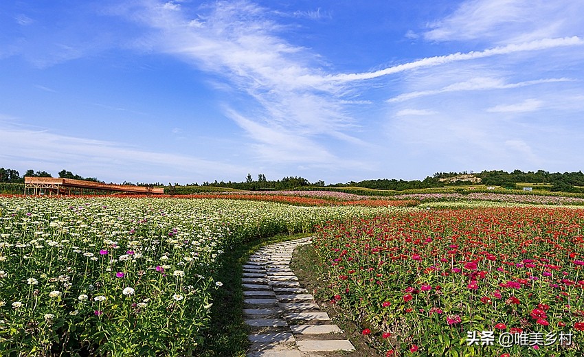 乡村产业发展，如何有效利用“四荒地”？5大创意玩法值得借鉴