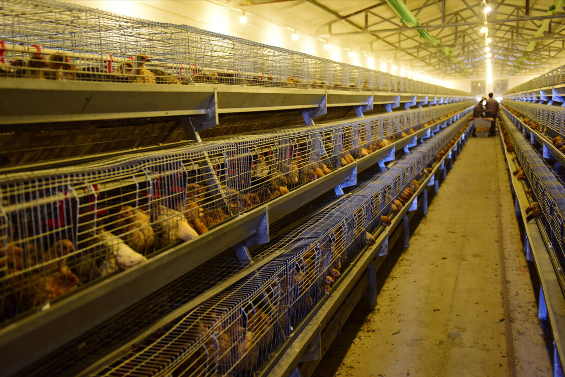 村委会申请帮拆，法院判决镇政府违法