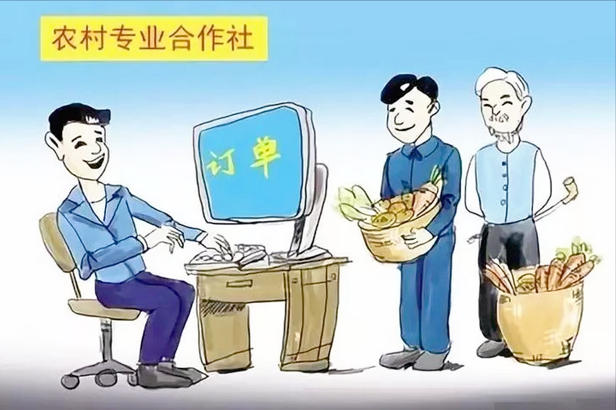 農民有哪些福利？如何得到保障？最新的补贴大全来了