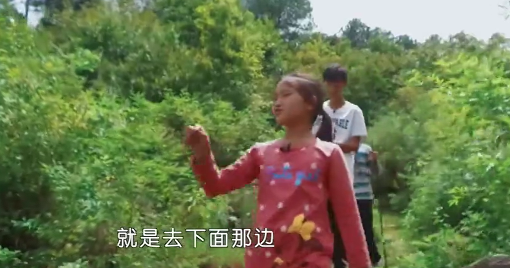 郑子豪：网瘾成性被送去变形，高温暴走7小时，成了节目组的噩梦