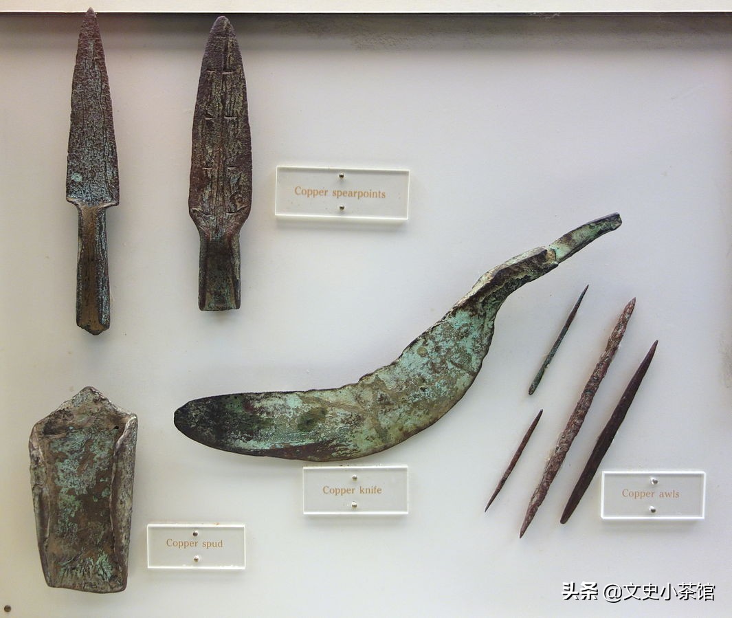 沿海常见的壮观冰川也向后消退,时不时的还会洪水泛滥