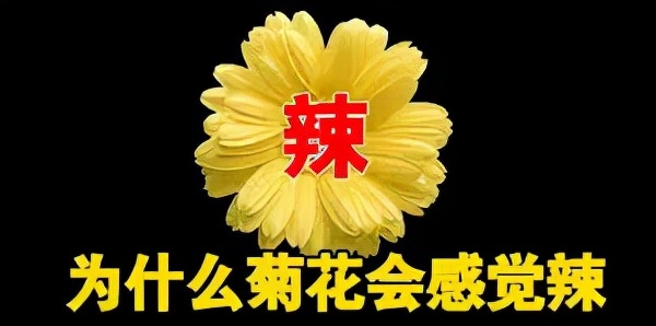 那些无辣不欢、天天吃辣的人，最后都怎样了？权威调研公布答案