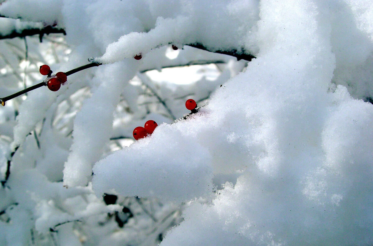 适合大雪节气朋友圈文案短句