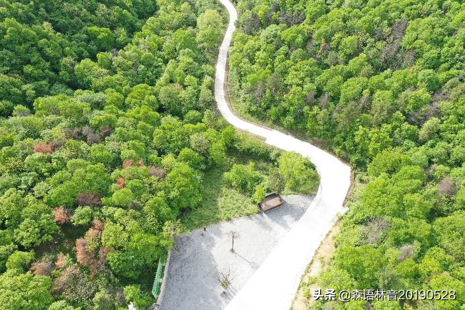 烟雨通天河 丹青水墨画——送你一个夏天“趣”通天河的理由