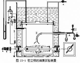 想证明爱因斯坦的理论是错的，却因此获诺贝尔奖