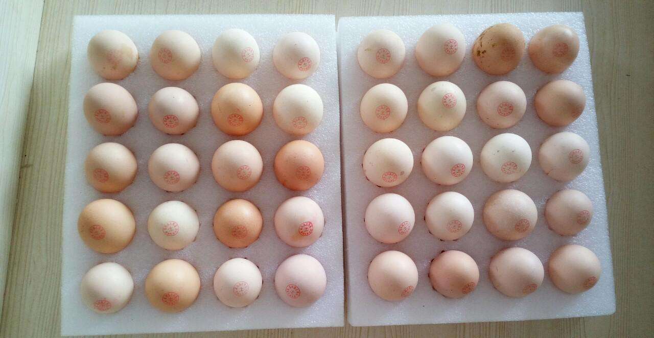 为什么冬天爱掉头发？建议你多吃这4种食物，还头发一个健康状态