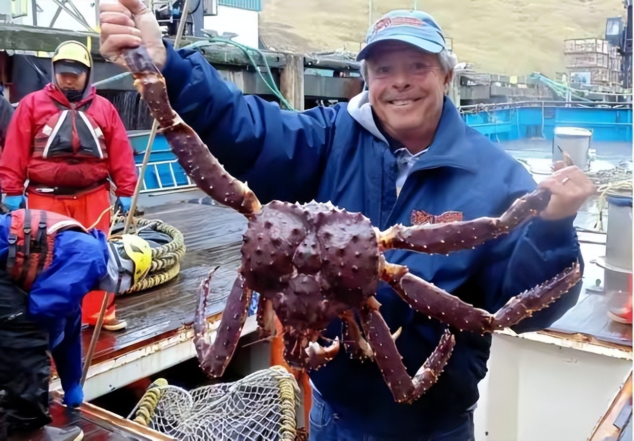 4年前,这个中国北方的边陲小城,曾让帝王蟹一夜之间价格腰斩