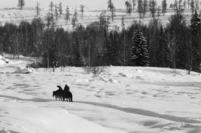 86年严打，军警全力追捕的东北“三张兄弟”，是何身份，犯了啥罪