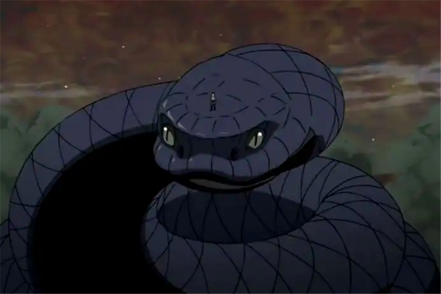 尤其是相比于大蛇丸那不听话的万蛇来说,出后就是佐助大人的青蛇绝对