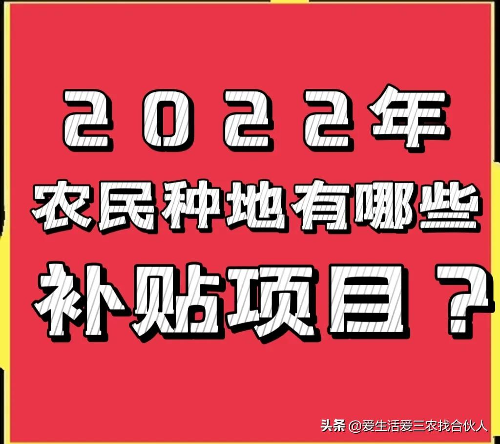 2022年农民种地补贴项目有哪些？别忘了去领噢！(附带详情)