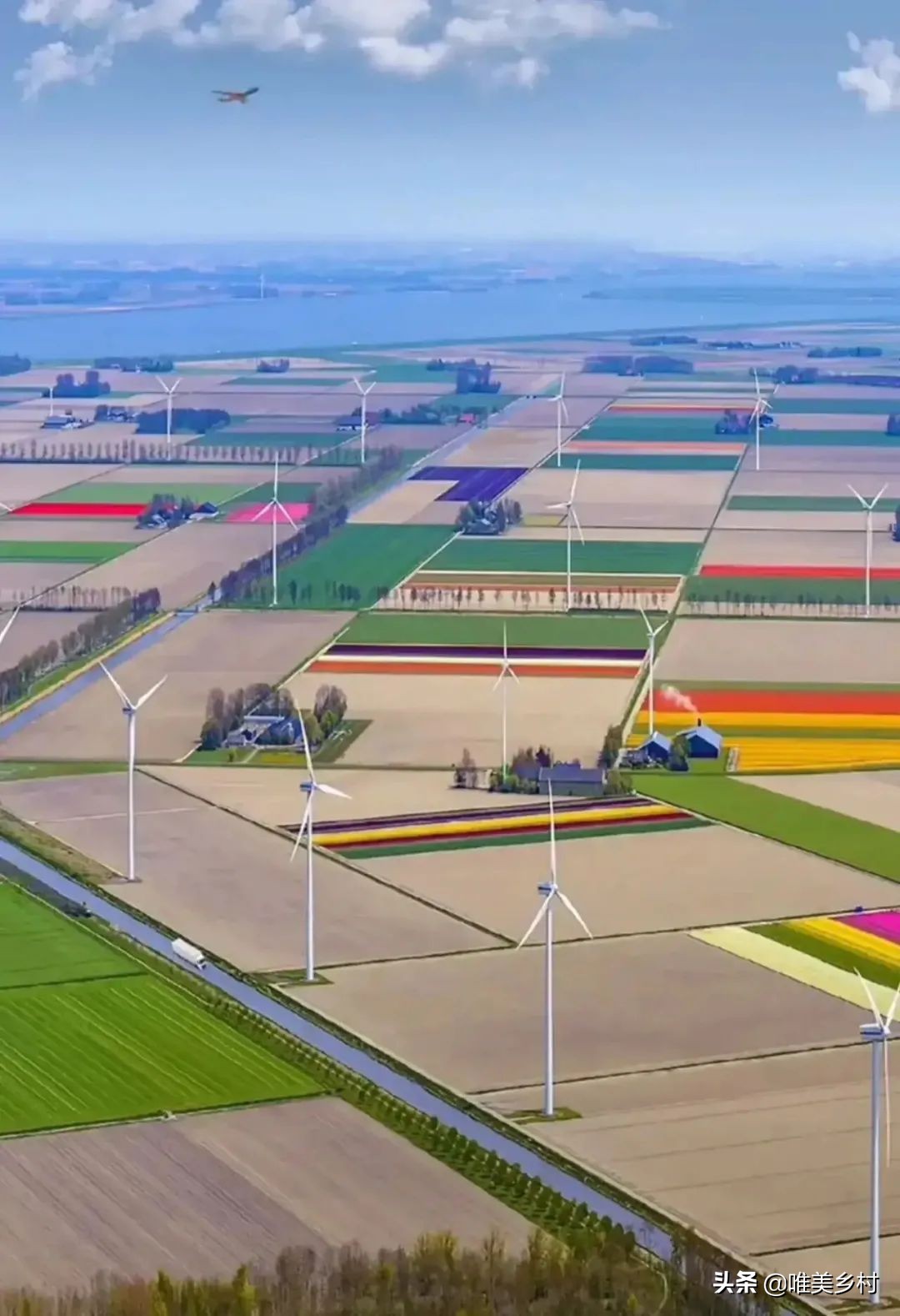 一号文件：“推进”乡村建设！过去、现在、未来？5大风向标