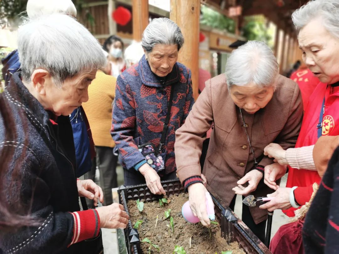 不亦乐乎！养老院可以种菜了