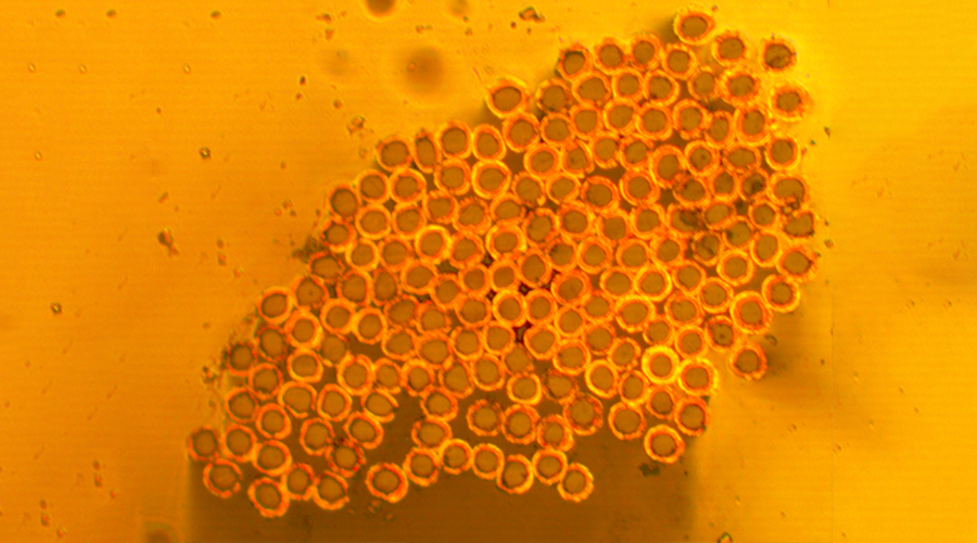 采用Syscom镀金属纤维丝化学电镀工艺，金属结合度高达80%以上