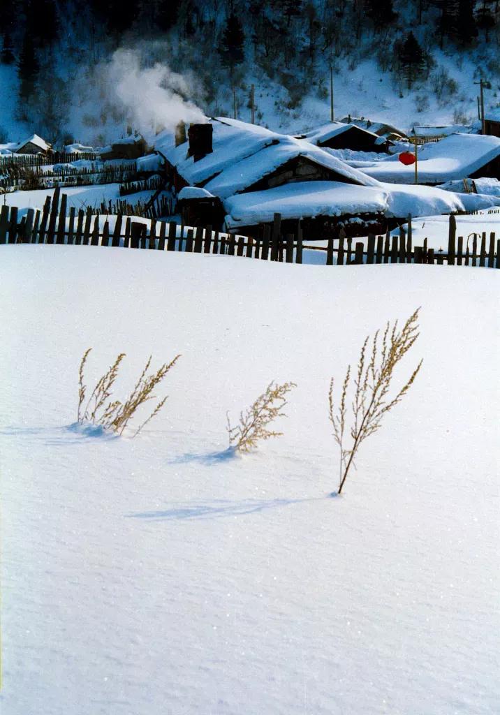 江城子*冬至(八首)