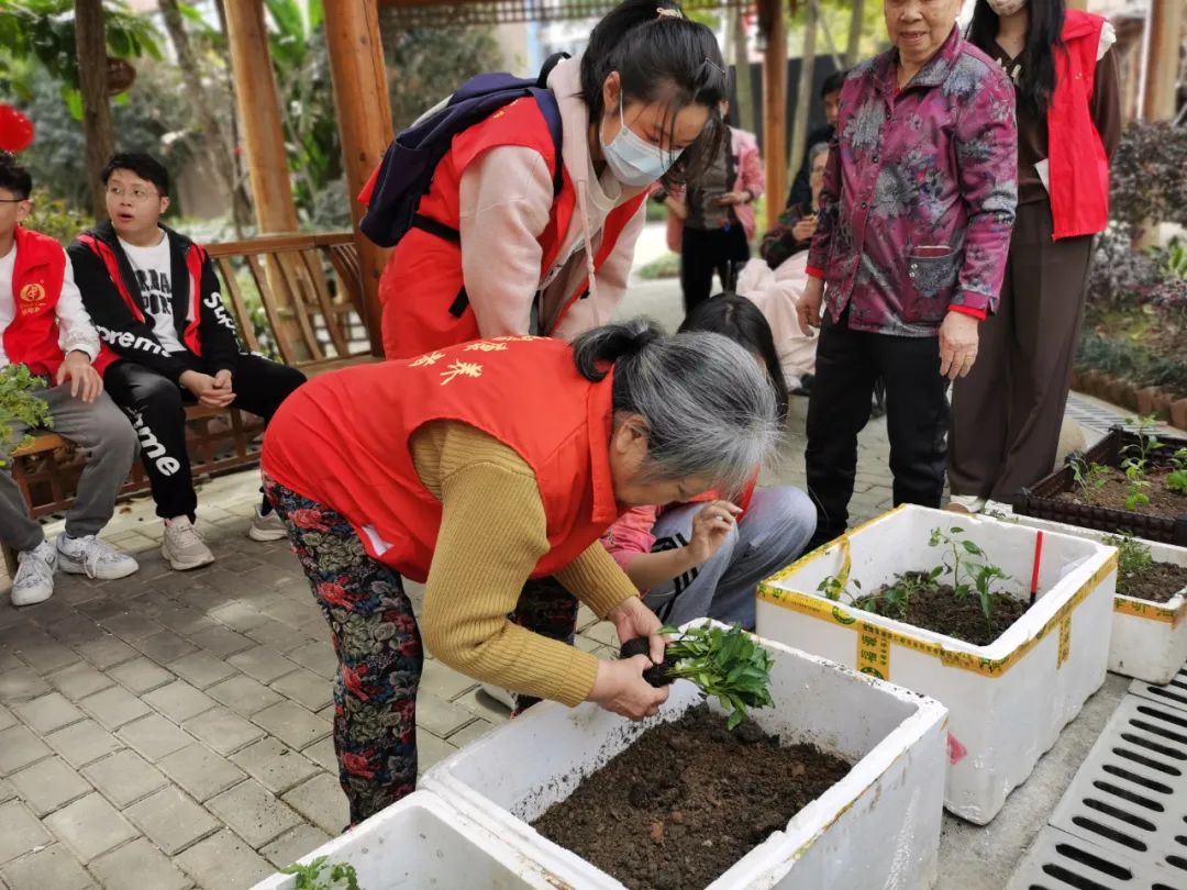 不亦乐乎！养老院可以种菜了