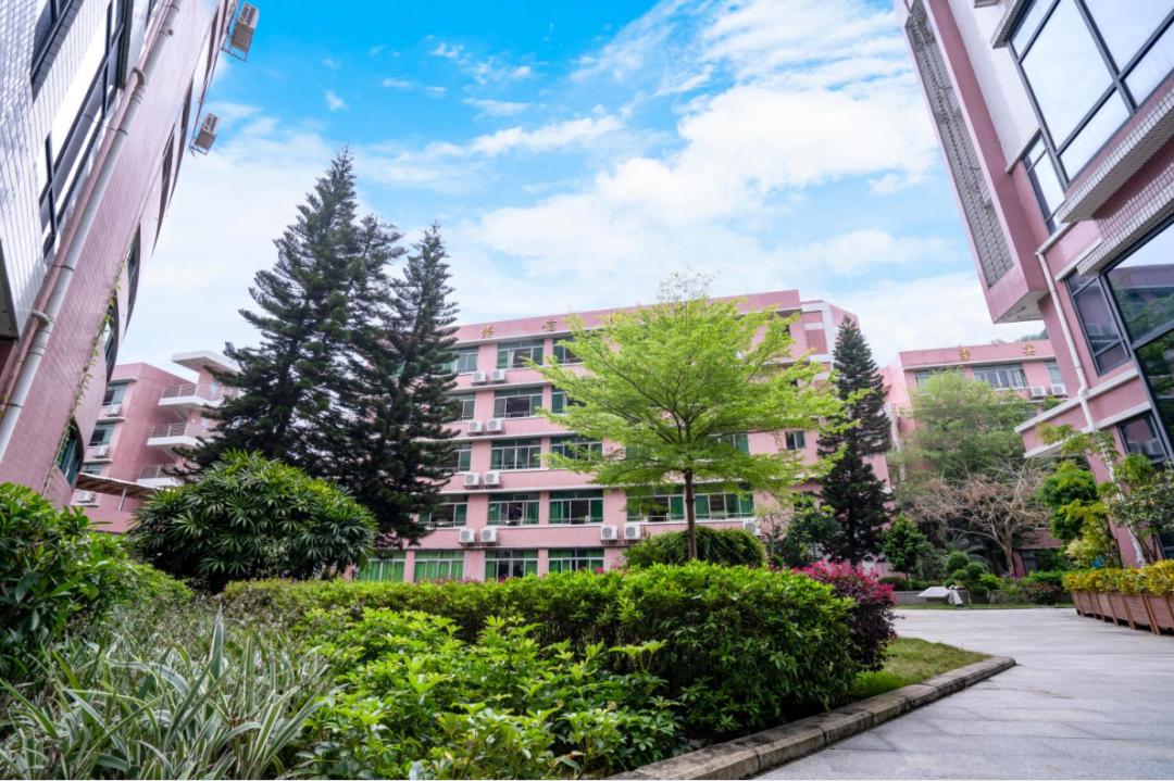 廣州市南沙第一中學(xué)：我在豐澤東路的日子(圖2)