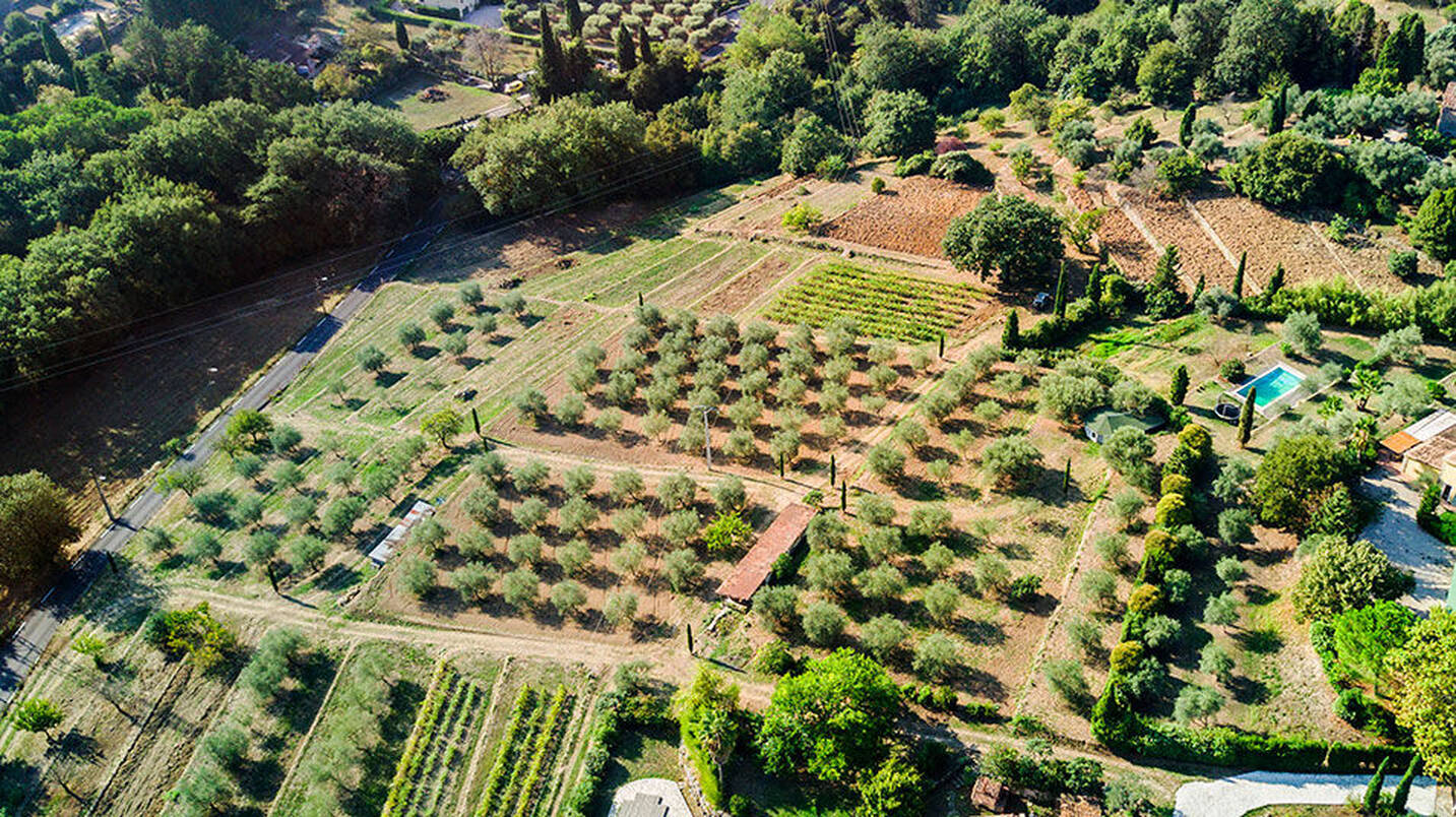 Lancôme 兰蔻位于格拉斯的生态玫瑰庄园落成，明年将向公众开放