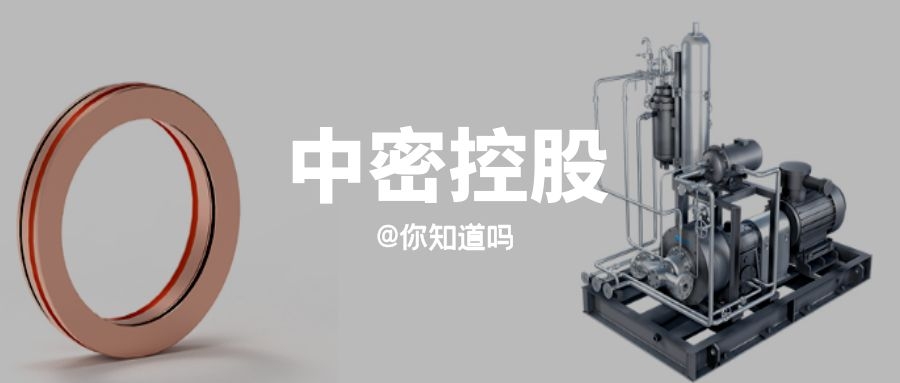 你知道吗｜中密控股买下了密封件三个隐形冠军公司，还在物色目标