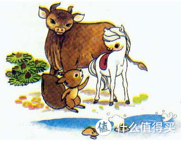 要选靠谱大品牌，看预算选适合自己的。赶紧进来看看！