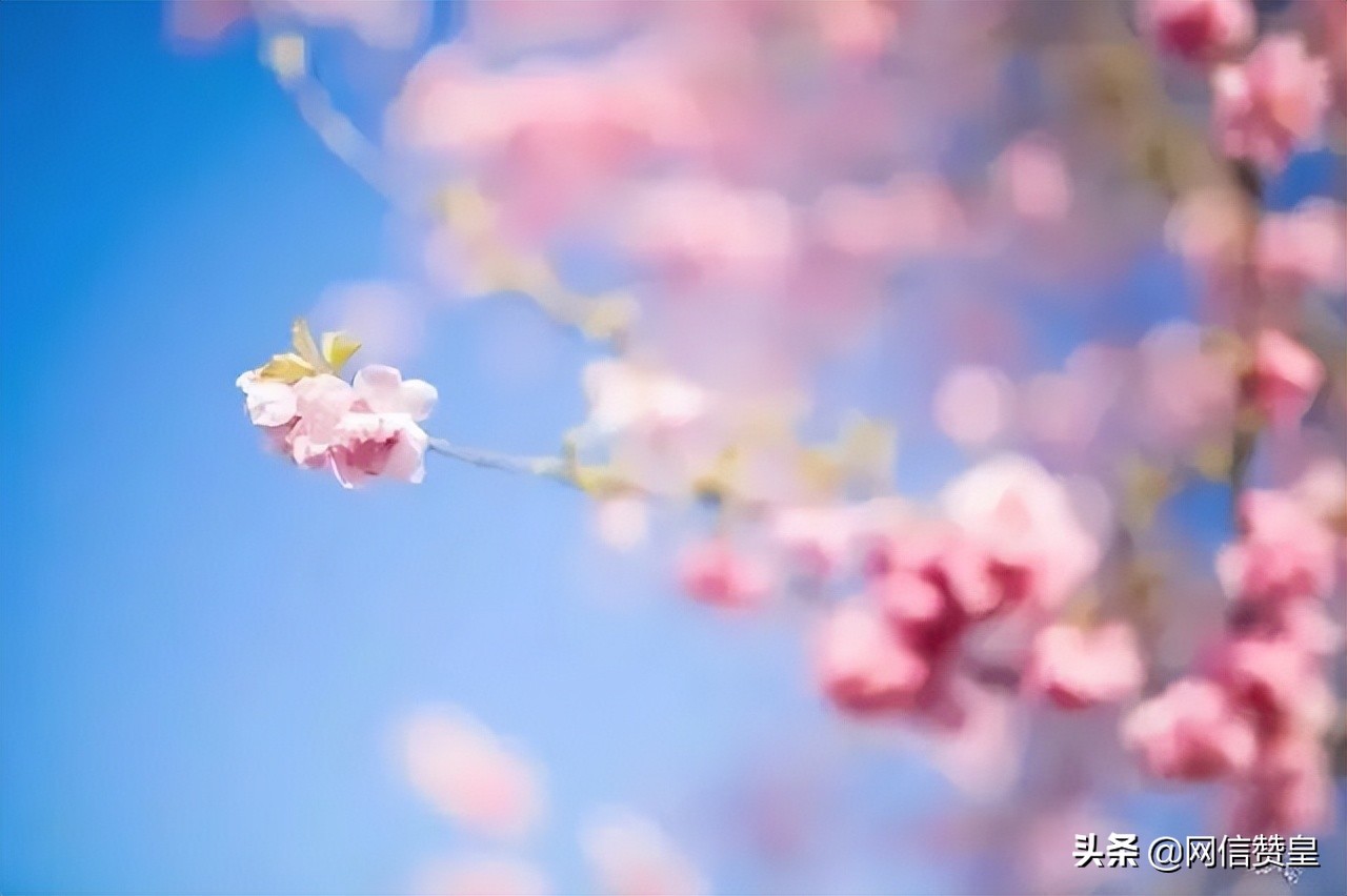 写清明节的古诗十首(关于清明节的古诗四句大全)