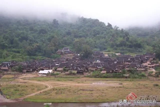 西双版纳旅游新期待丨用好气候“王牌”推出傣医药 “亮点”