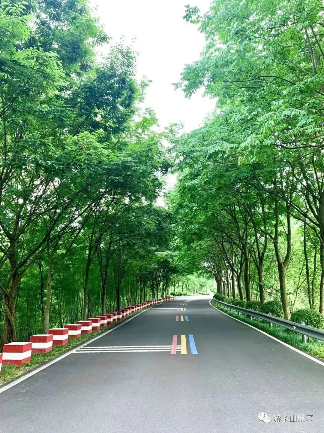 悠悠夏日长 毕业旅行清单已列好 一起放松一 夏 吧 网络知识