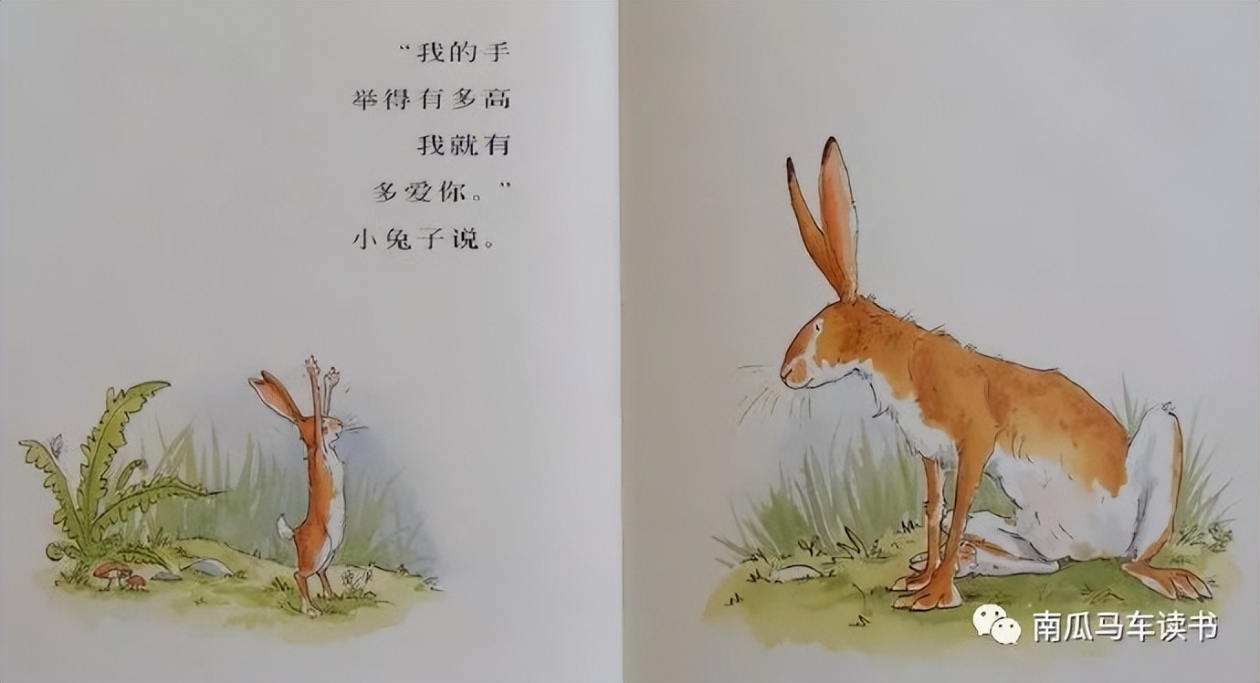 绘本《猜猜我有多爱你》：致敬母亲节——母爱到底有多长