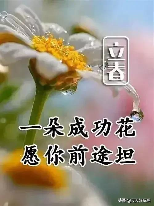 立春，祝福问候早送上，致我的亲人朋友