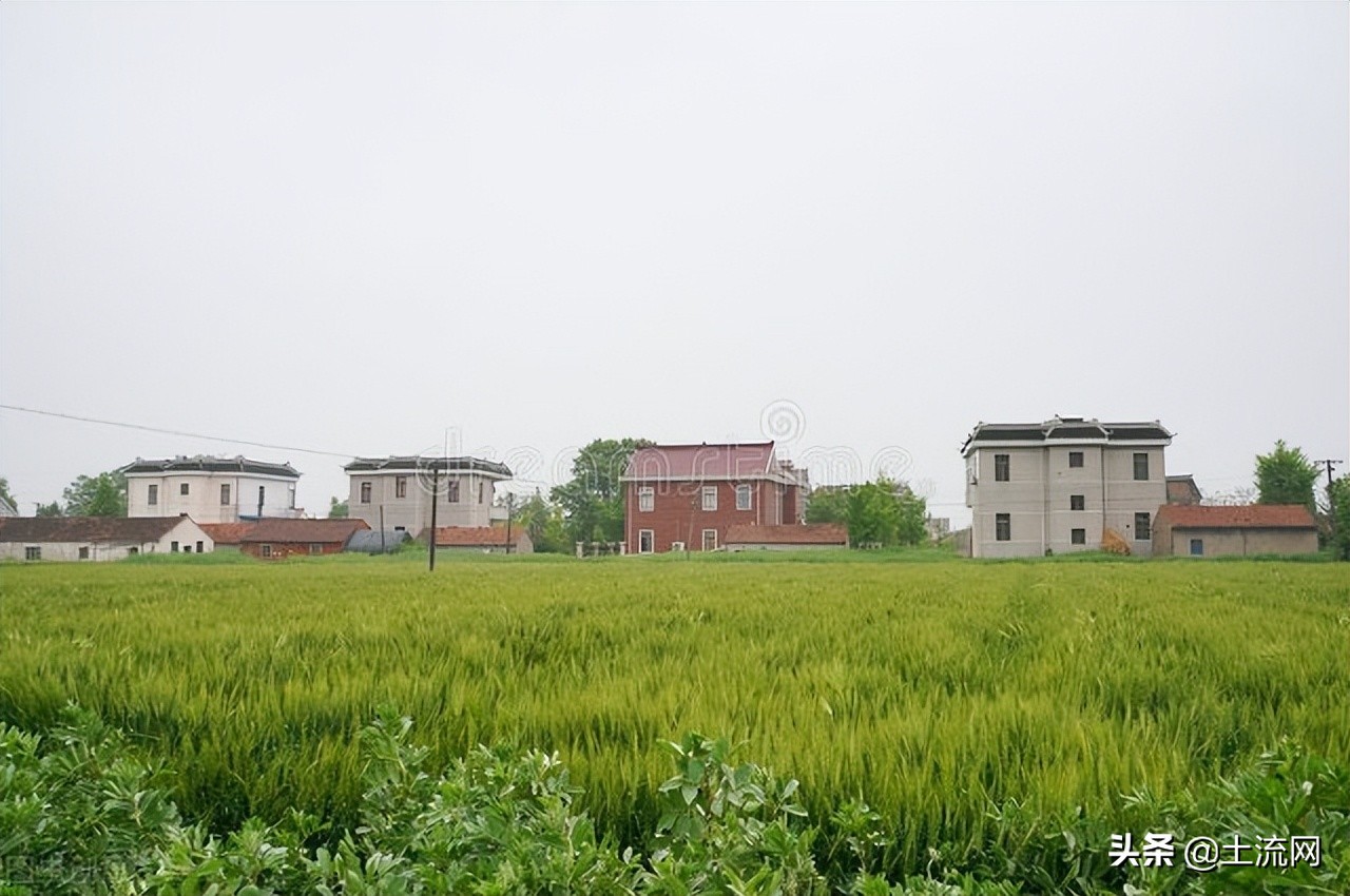 江蘇省2022年耕地地力保護(hù)補(bǔ)貼標(biāo)準(zhǔn)為120元/畝！附具體發(fā)放時(shí)間