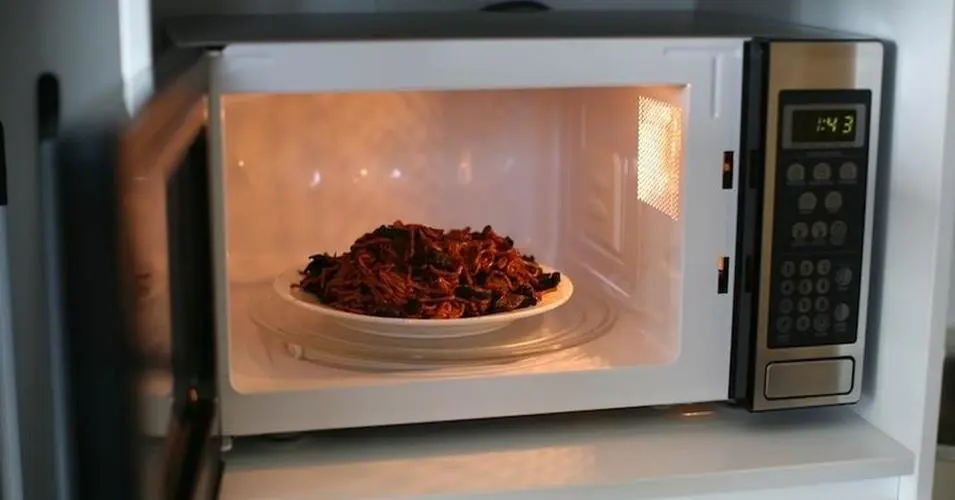 据传用微波炉热食物，吃了有害还会“致癌”？微波炉天使还是魔鬼