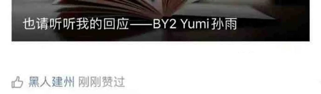 %title插图%num 李靓蕾锤王力宏,她真的赢了吗?