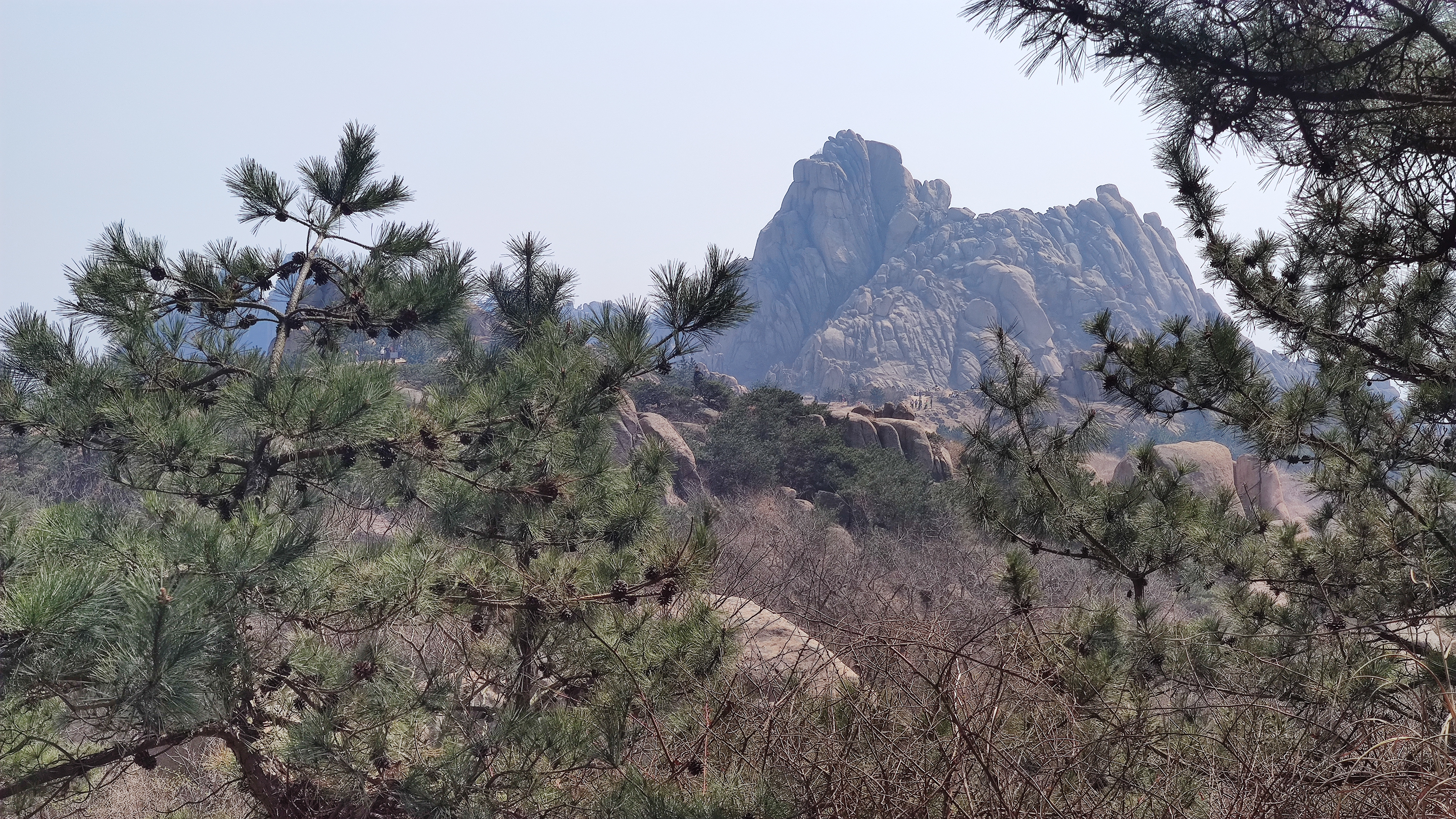 早春，大珠山探寻万亩杜鹃花开爬山游记