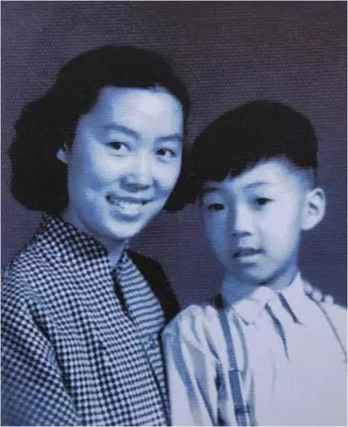 人生若觉很悲丧，只因未读史铁生