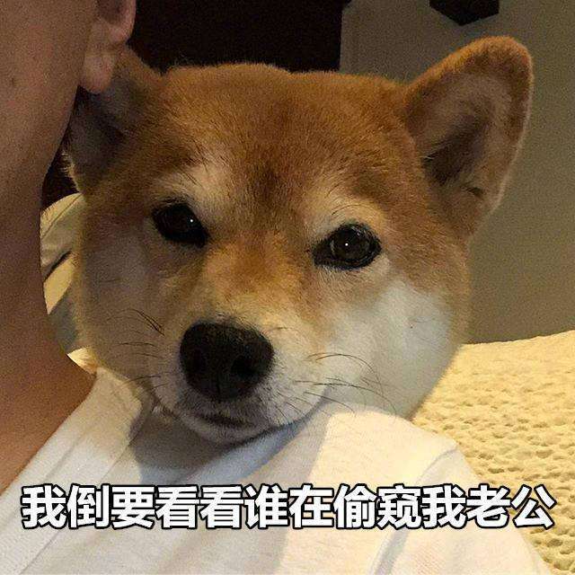 赖猫狮子的反思是结束，吸引术后对比的吸引力