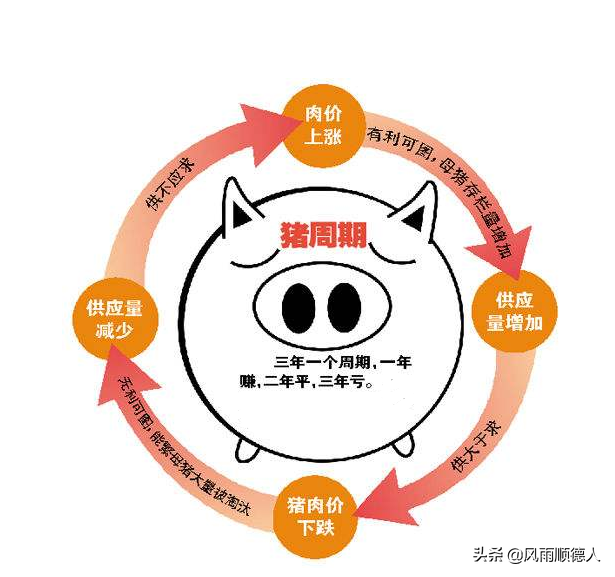教你看午盘：医药新能源探底回升，白酒芯片超跌反弹，要加仓了吗