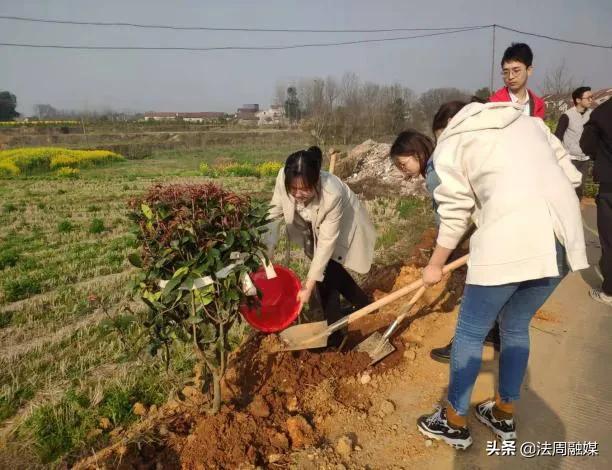 澧县梦溪镇开展义务植树活动