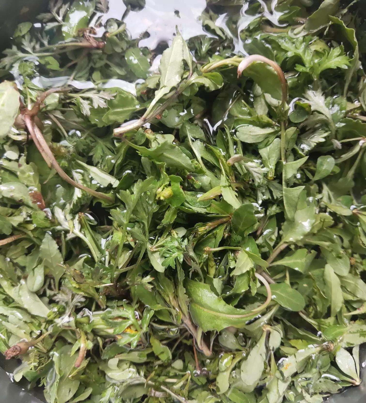 高考这几天吃什么（高三学生吃的什么饭菜）